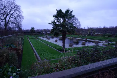 DSC_6185 (Large).JPG